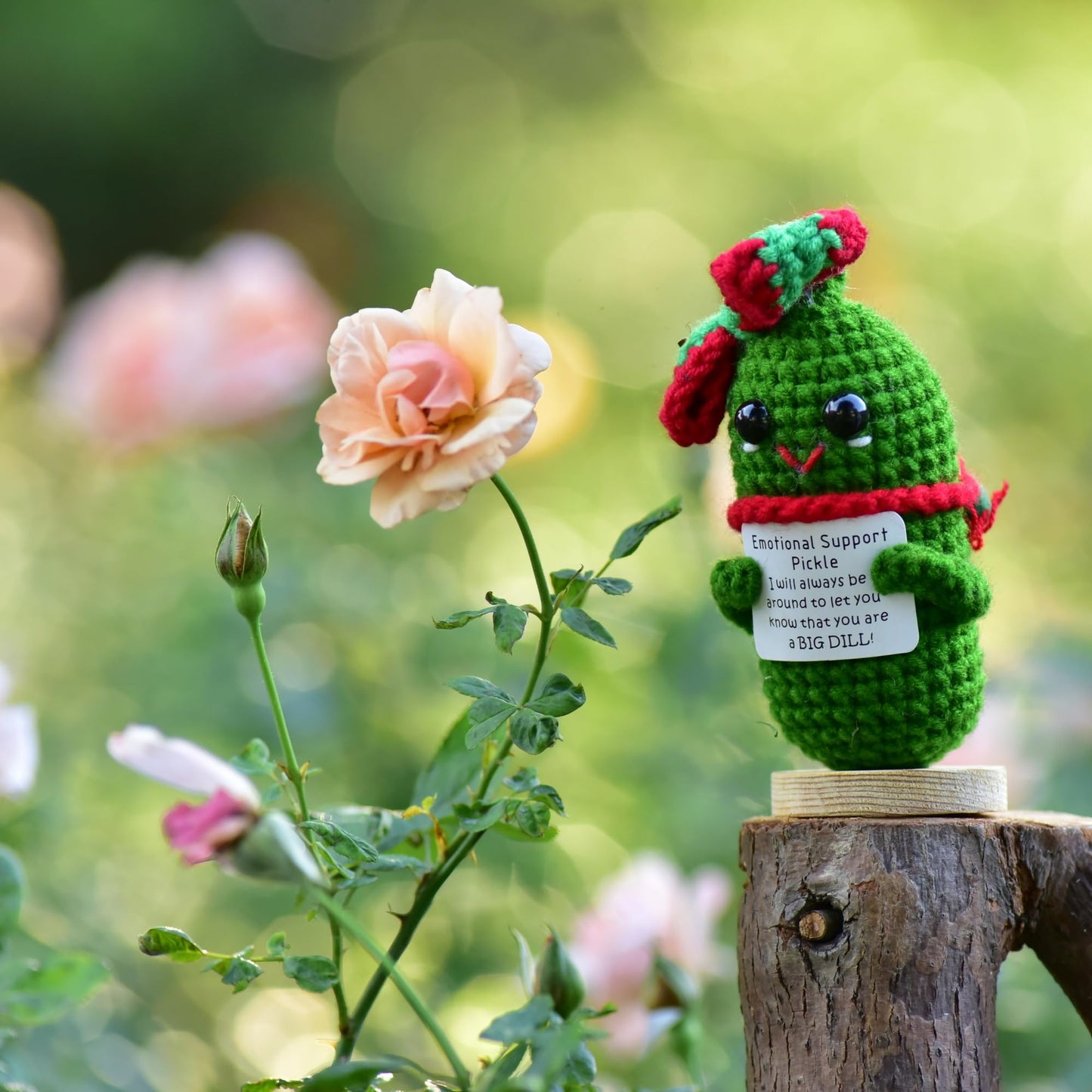 qyqkfly Emotional Pickled Desk Support Gift, Green Cotton, Model qq-cu-with chri bow, Ideal for Women, Friends, Easter, Birthday, Christmas