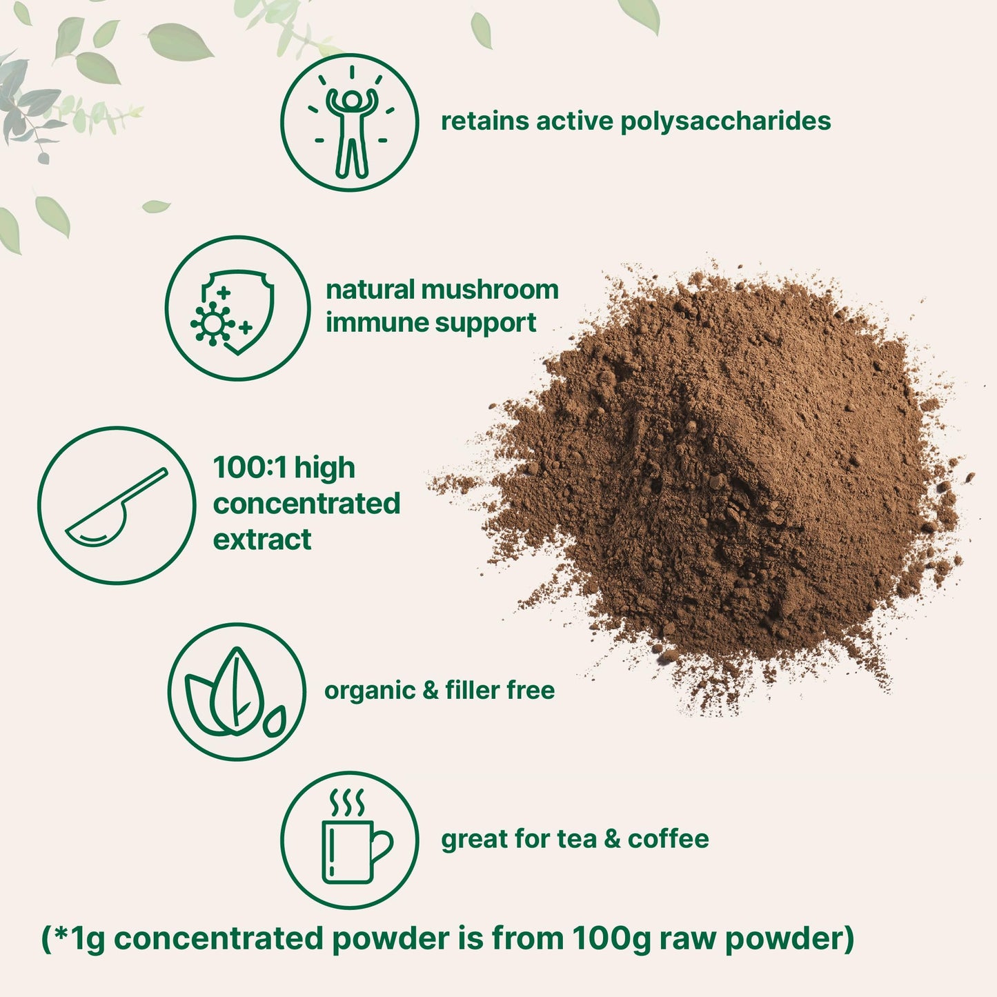 Micro Ingredients Organic Reishi Mushroom Powder 100:1 Extract 16oz Non-GMO