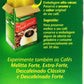 Melitta - Traditional Roasted Coffee - 17.6 Oz (Pack Of 04) | Melitta Caf   Torrado E Mo  Do Tradicional - 500G
