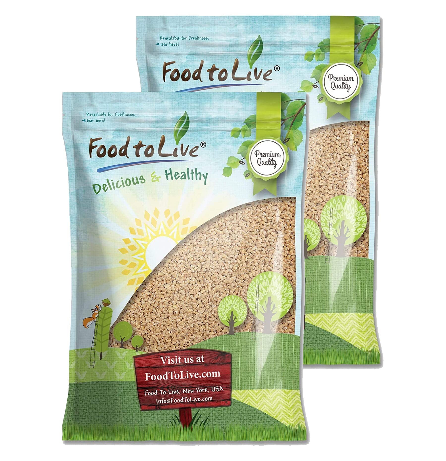 Pearl Barley, 20 Pounds - Processed Hulled Barley, Cereal Grain, Kosher, Vegan, Bulk. Cooks Faster than Hulled Barley. High in F