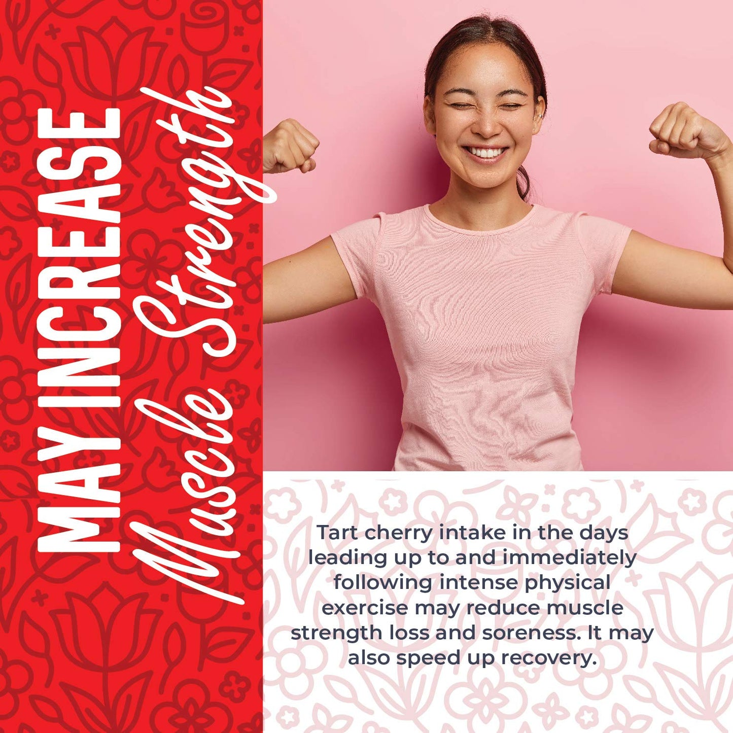 Herbaila Dried Tart Cherries, Montmorency Sour Cherries, 1 Pound Pack, All-Natural