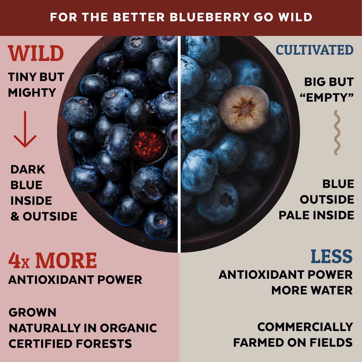 Numami Wild Blueberry Powder Organic, USDA Certified, Antioxidant Rich, 4.4 Ounce Pack
