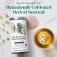 The Republic of Tea Organic Egyptian Chamomile Tea - 36 Herbal Tea Bags, Naturally Caffeine-Free
