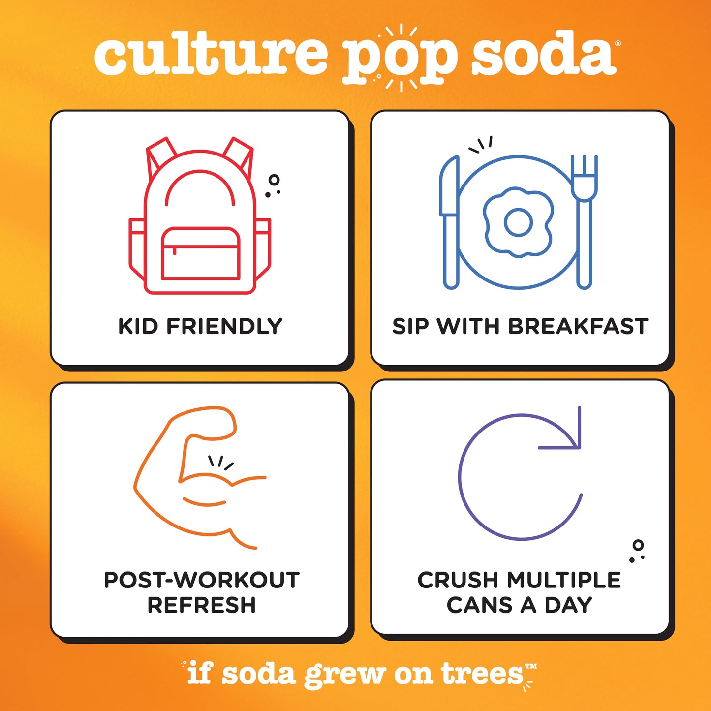 Culture Pop Soda  Most Loved Variety Pack  Probiotic Low Sugar Soda  Sparkling Juice Alternative  Non-GMO  Kosher  Gluten-Free  No Stevia (12pk)