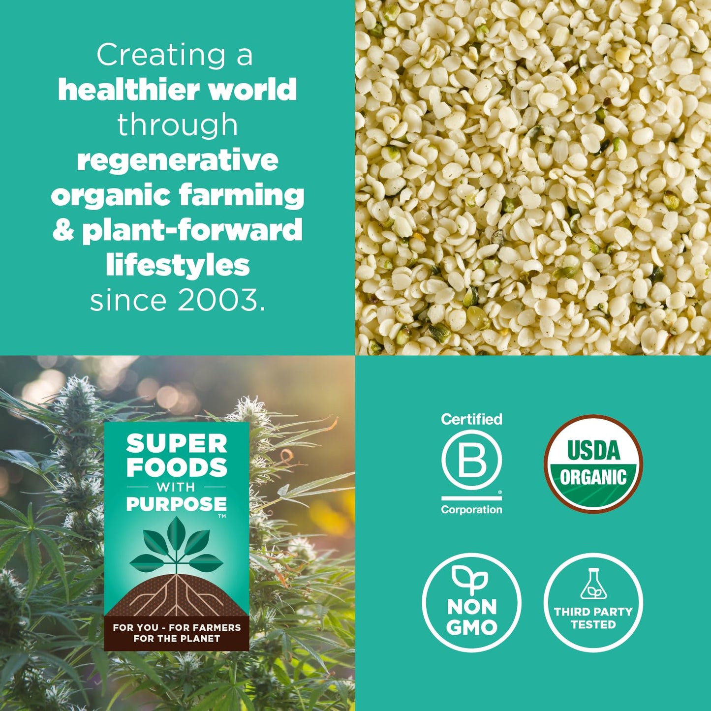 Navitas Organics Hemp Powder, 32 oz. Bag, 30 Servings - Organic, Non-GMO, Cold-Pressed, Gluten-Free