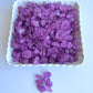 SweetGlob Old Fashioned Medium Rock Sugar Candy Gems, Lump Sugar Rock Crystals (1 Pound, Purple Grape)