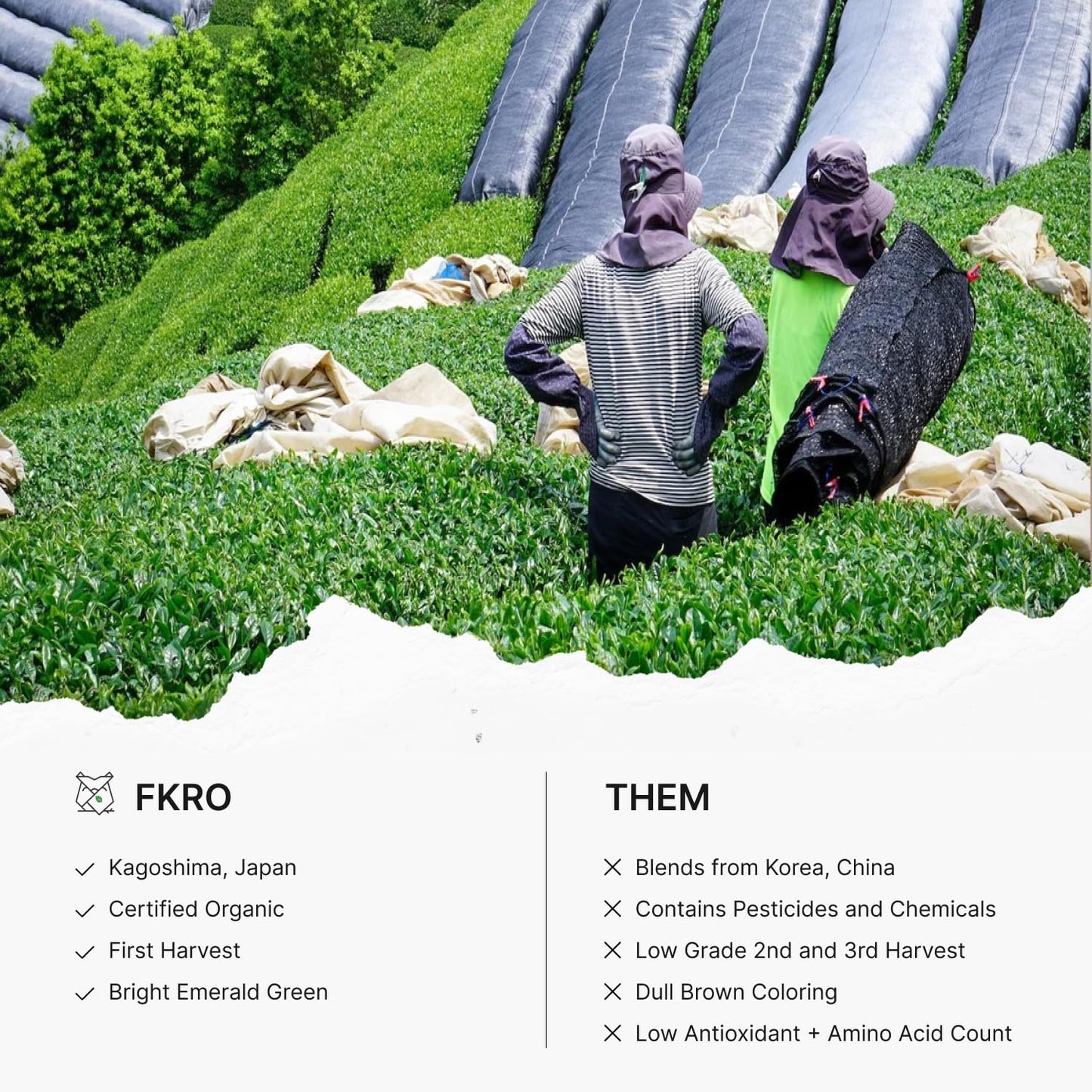 FKRO Organic Ceremonial Grade Matcha Green Tea Powder - 1st Harvest, Single Origin, Okumidori Cultivar - 30g Pouch