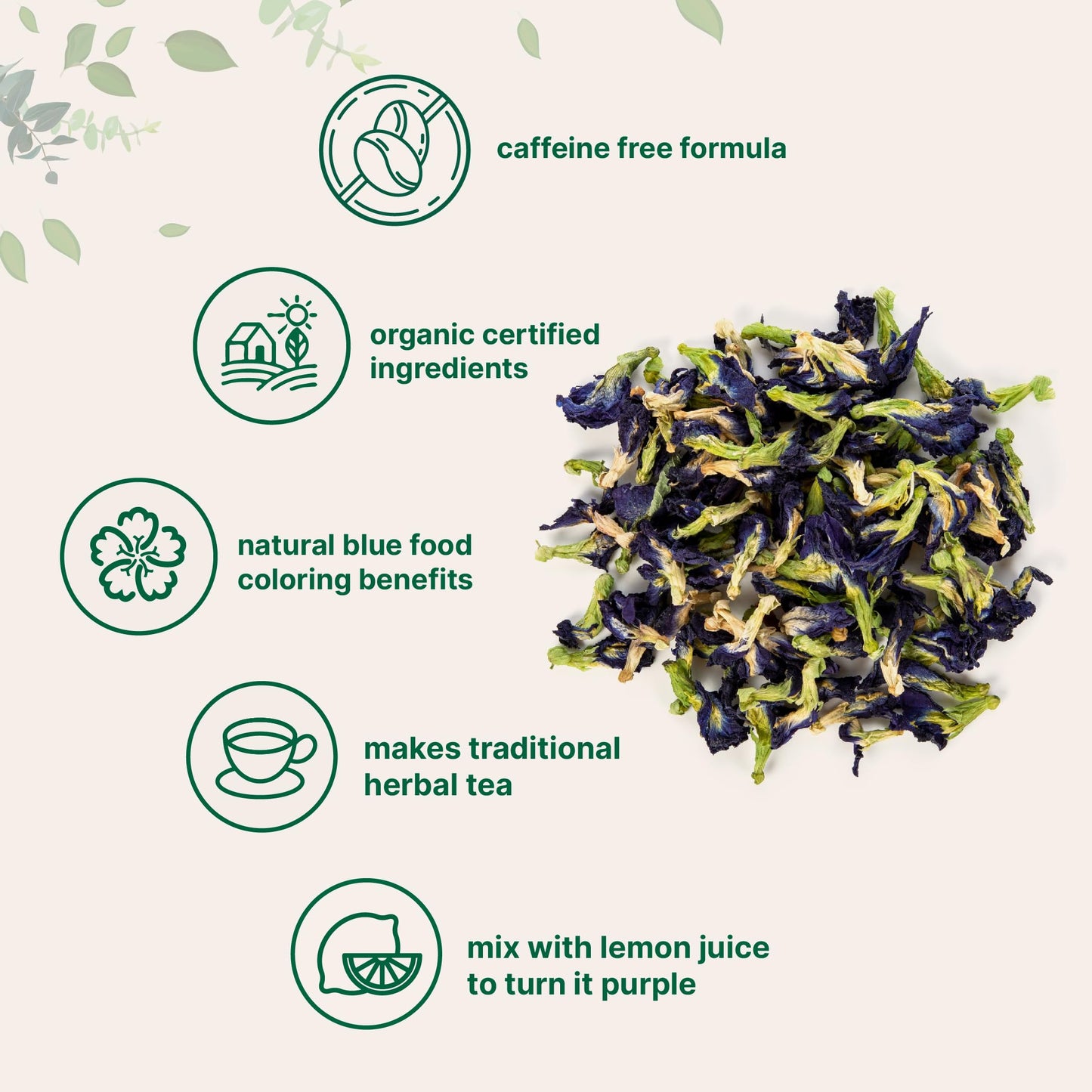 Micro Ingredients Organic Butterfly Pea Flower Tea  8 oz (680+ Cups) | Loose Leaf Herbal Tea | Natural Blue & Purple Color | Rich in Antioxidants | Caffeine-Free  Non-GMO  No Sugar
