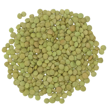 Rani Masoor Whole (Green Lentils Whole With Skin) 400Oz (25Lbs) 11.36Kg Bulk Box ~ All Natural | Vegan | Gluten Friendly | Non-G