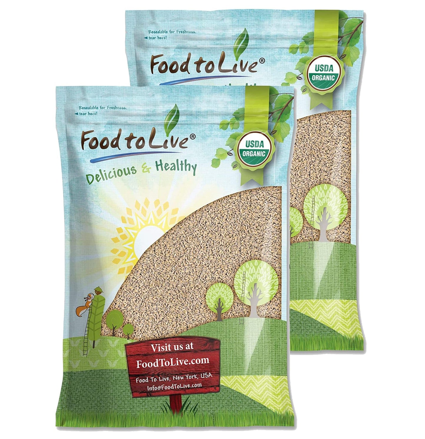 Food to Live Organic Spelt Berries, Whole Grain Vegan Superfood, 25 Pound, Non-GMO, Non-Irradiated, Bulk, Product of the USA