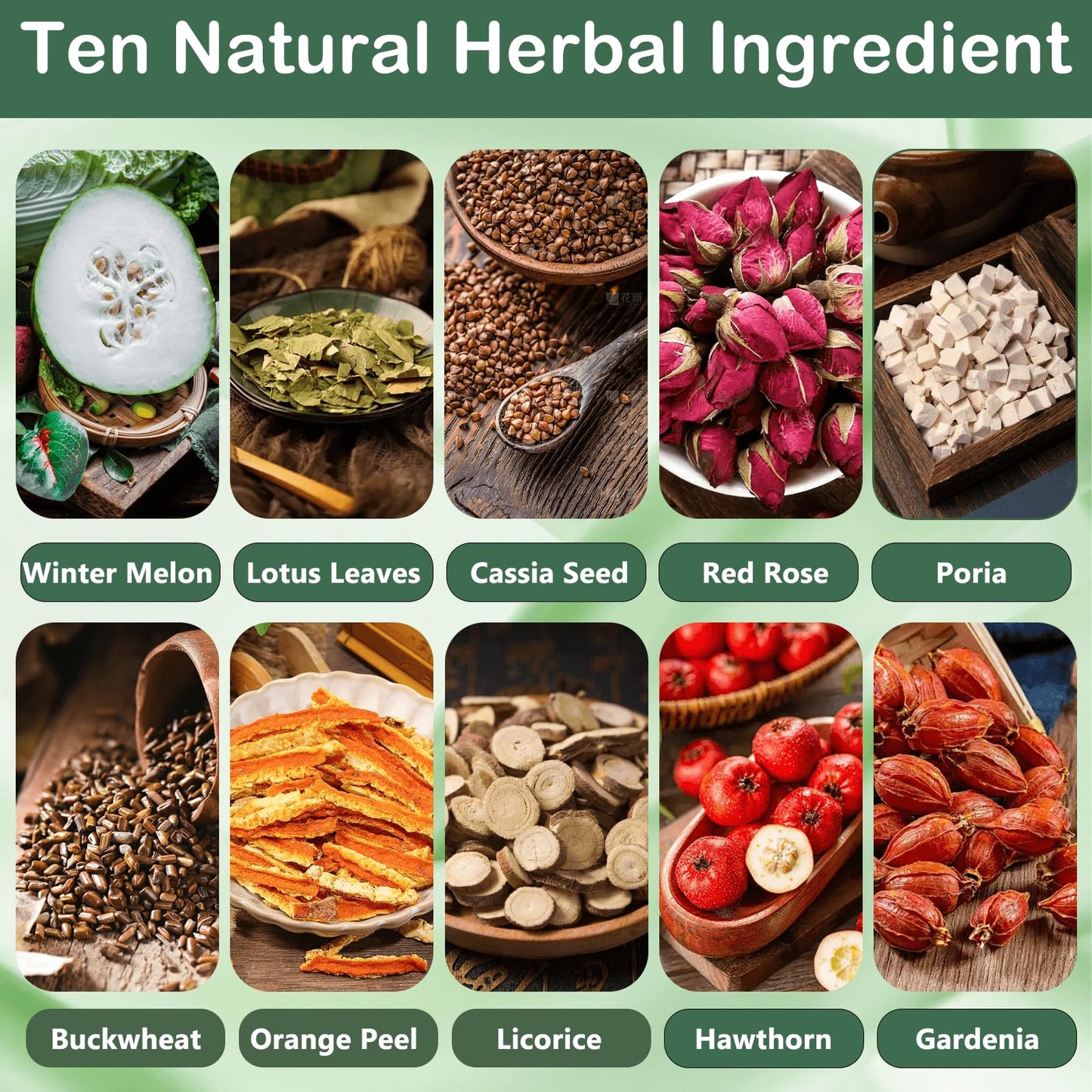 Fangkic Oil Cleansing Tea - 20 Bags Herbal Blend with Winter Melon, Lotus Leaf & Green Tea - Traditional Wellness Formula