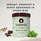 Talenti Gelato For a Delicious Frozen Dessert Mediterranean Mint Made with Non-GMO Ingredients 1 pint