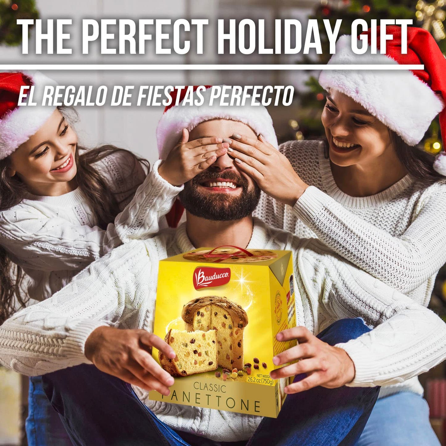 Bauducco Panettone Classic Holiday Cake - Moist & Fresh with Candied Fruit & Raisins - 26.2oz