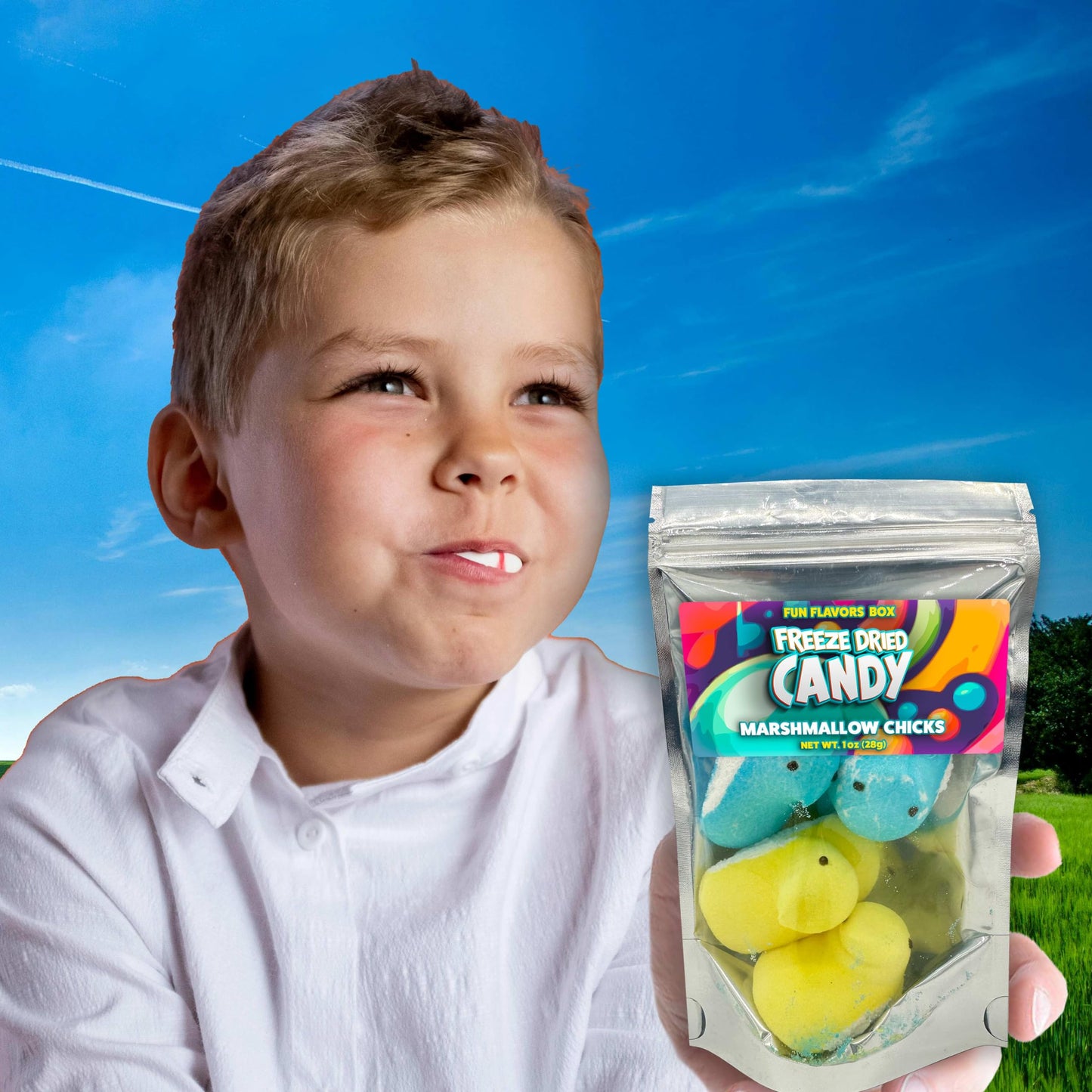 Freeze Dried Candy Marshmallow Chicks, Unique Exotic Crunch Snack Treats, Party Favor Gift Idea, Easter Basket Filler, 1 Oz