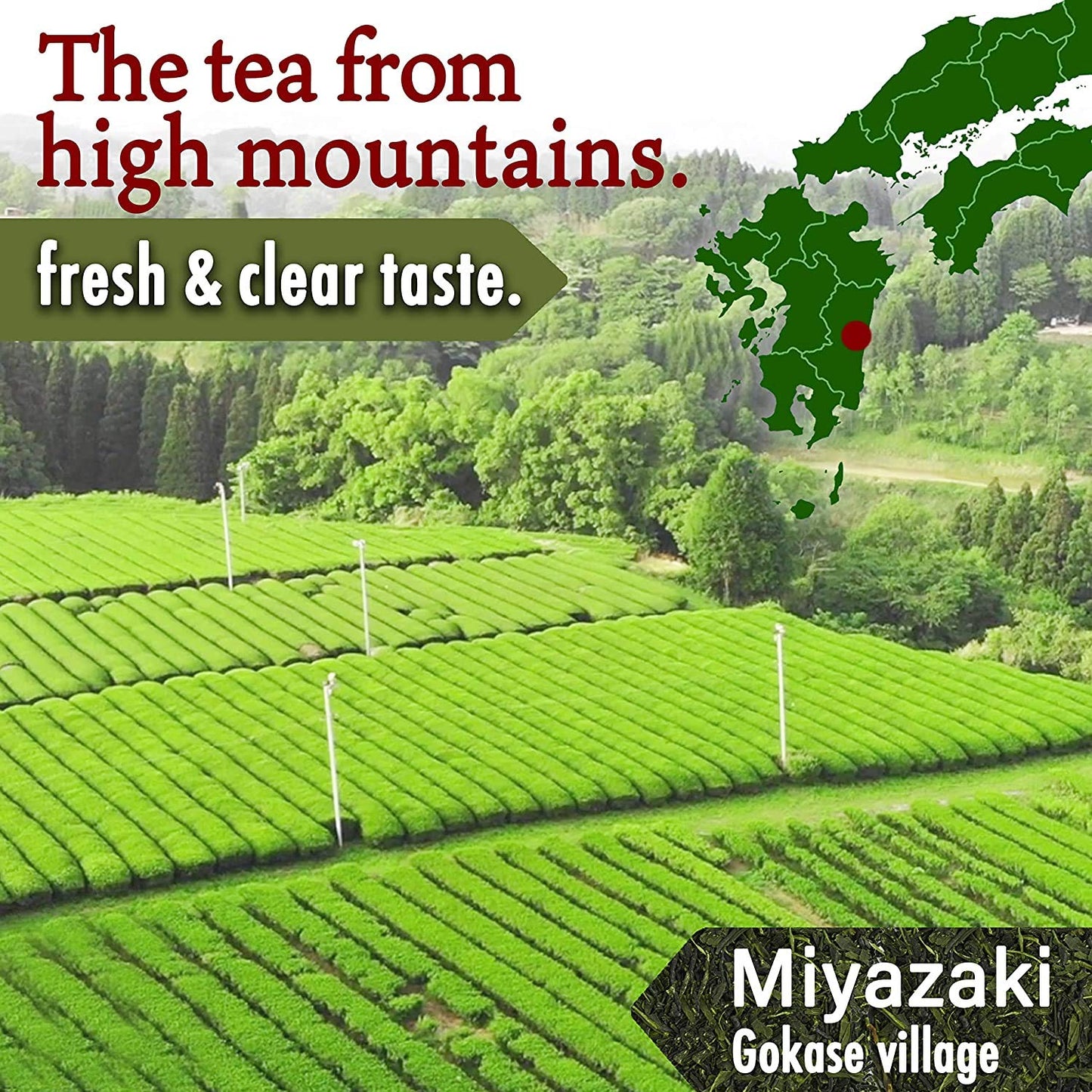 Organic Oolong Tea Loose Leaf Tea,100% Authentic Made In Japan, (100G)Yamasan