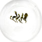 Milk Oolong - Loose Whole Leaf Jin Xuan Milk Oolong Tea Of Taiwan By Golden Tea Leaf Co