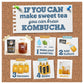 Fermentaholics BIG MOMMA Kombucha SCOBY With Twelve Ounces of Starter Tea - Live Kombucha Starter Culture | Extra Large 6 Pellic