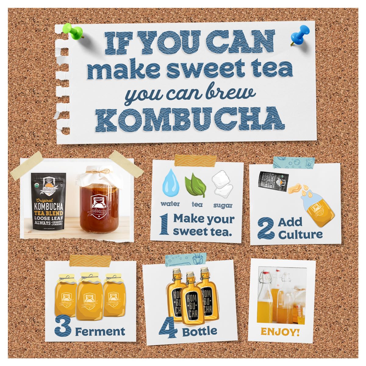 Fermentaholics BIG MOMMA Kombucha SCOBY With Twelve Ounces of Starter Tea - Live Kombucha Starter Culture | Extra Large 6 Pellic