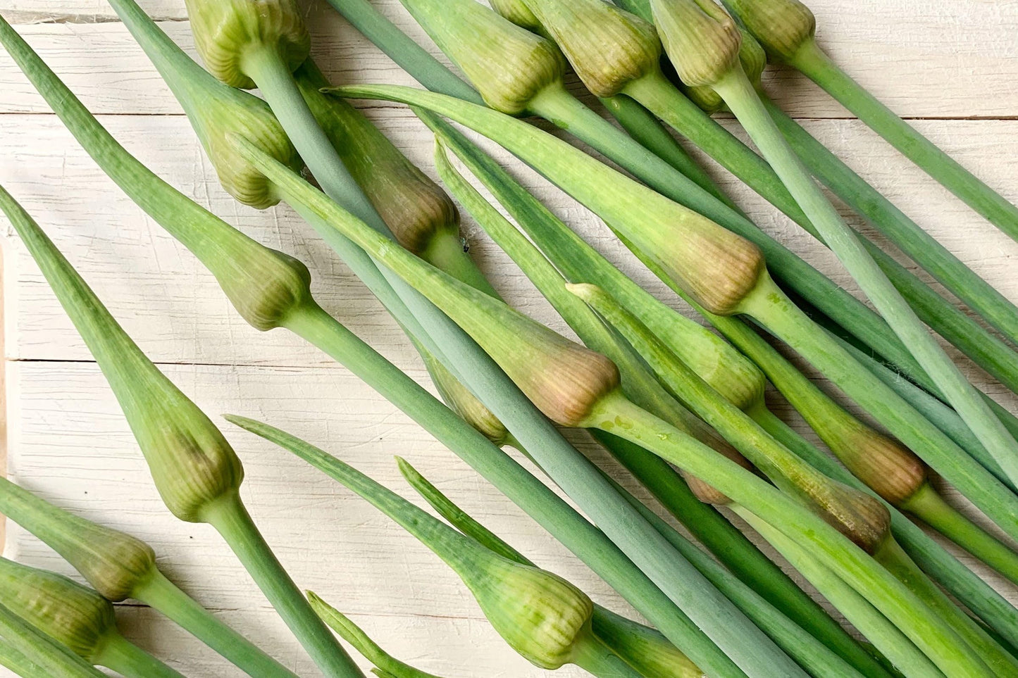 Fresh Garlic Scapes by RawJoy Farm (3 Pound)