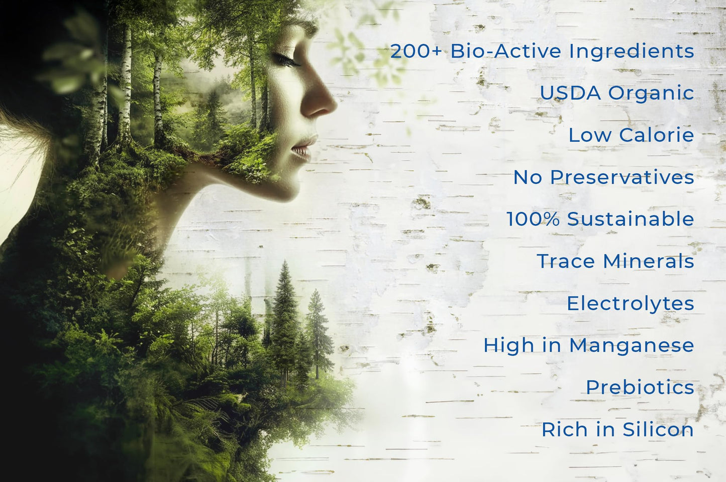 Nordic Tree Water Birch Tree Sap - Electrolytes, Minerals, Prebiotics, Vitamins, Pack of 12, BPA-Free Tetra Pak