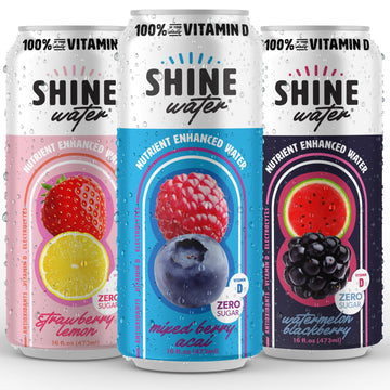 ShineWater Vitamin D Electrolyte Drink, Zero Sugar Hydration, 16 Fl Oz (Pack of 6)