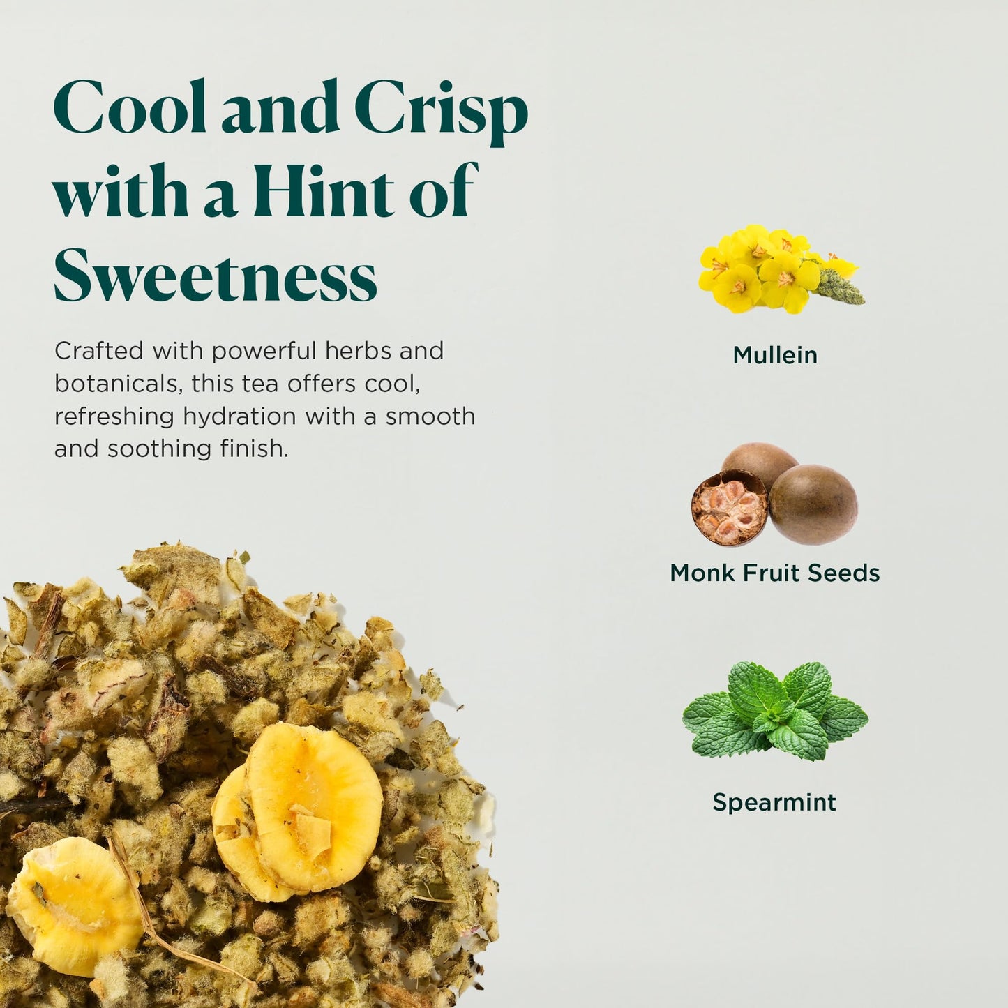 Tea Facto Mint Zest Mullein Tea Bags - Whole Mullein & Spearmint - 10 Pack - Sweet Rescue 10