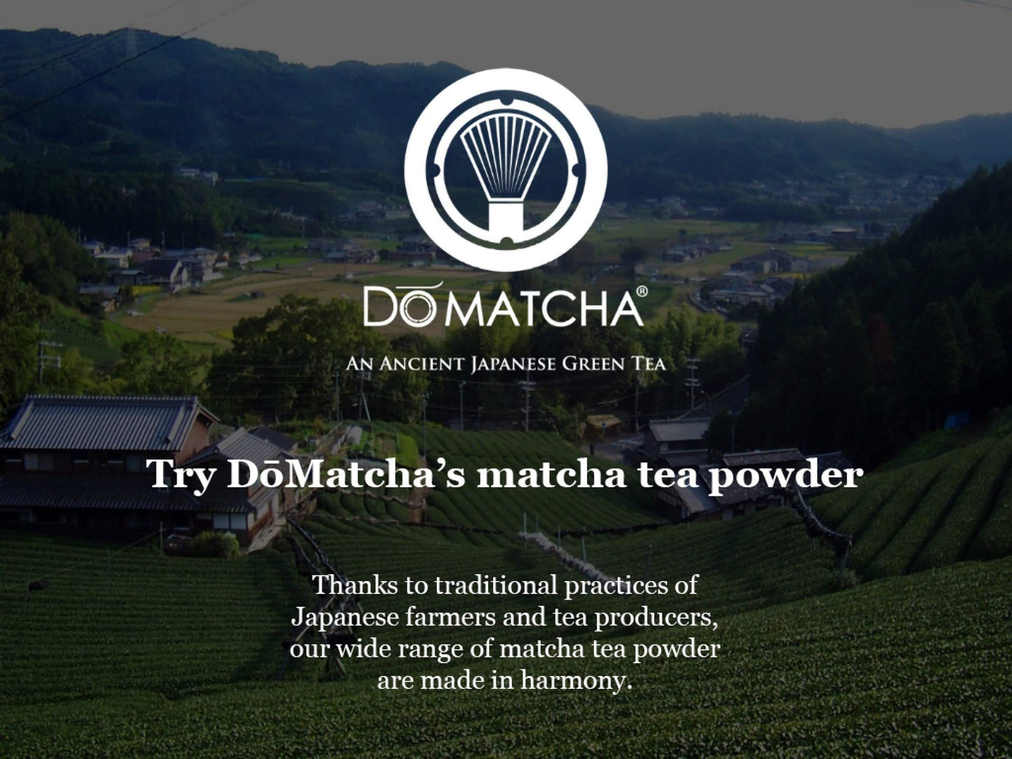DoMatcha Summer Harvest Green Tea Matcha Powder, Natural Antioxidants, 75 Servings, 2.82 oz