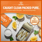 Sea Castle Sardines in Pure Olive Oil, 4.4oz (12 Pack)
