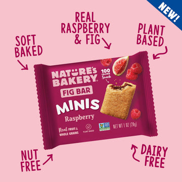 Natures Bakery Fig Bar Minis, Raspberry, Whole Grain, Vegan Friendly, Kosher, Non-GMO, 10 Ounce (Pack of 6)