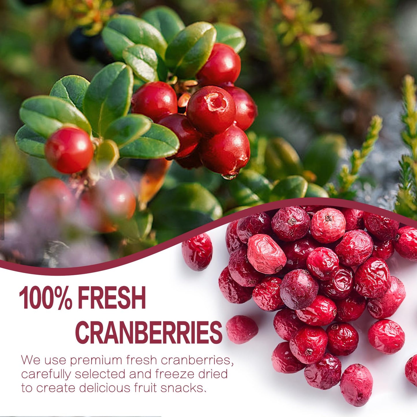 Freeze Dried Cranberries, 2.64Oz/75G Whole Frozen Cranberries, Freeze Dried Fruit, Camping Food & He-Althy Fruit Snacks, 100% Na