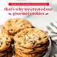 Davids Cookies Gourmet Chocolate Chunk Cookies in Merry Christmas Tin - 1lb, All Natural, No Preservatives, Handmade Gift Basket