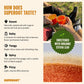 SUPEROOT Organic Ginger Shot & Turmeric Powder - Electrolyte Drink Mix - 30 Servings - 8.47 oz