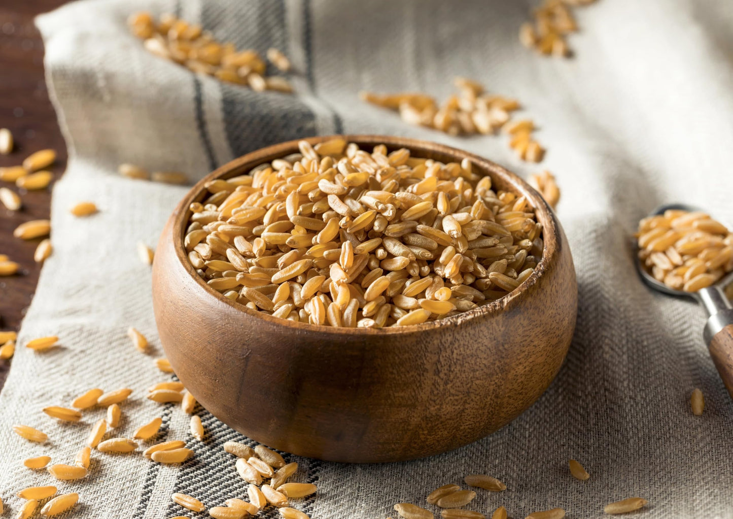 Food To Live Organic Kamut Khorasan Wheat Berries, 25 Pounds - 100% Whole Grain, Sproutable For Wheatgrass, Non-Gmo, Kosher, Bul