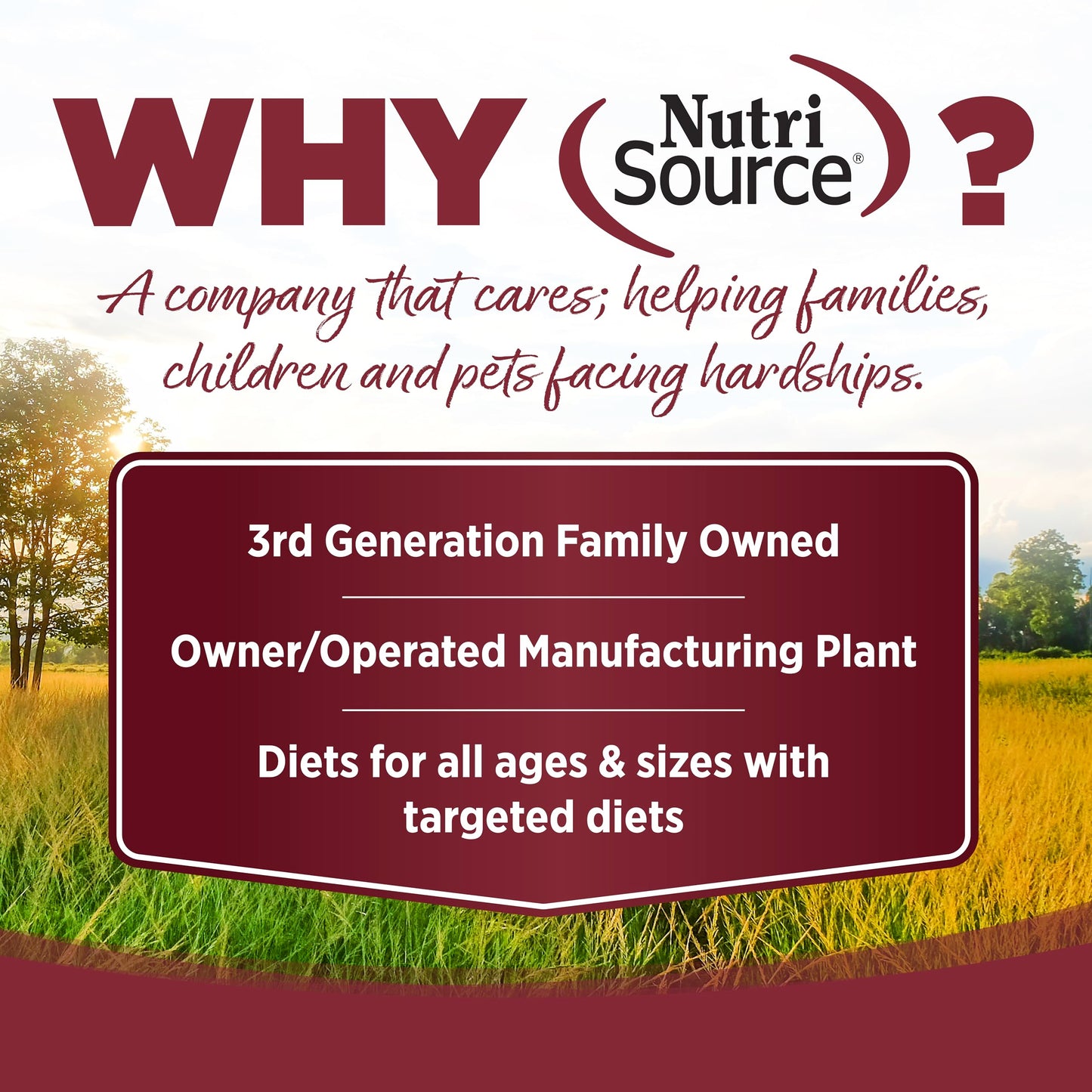 Nutrisource Come-Pooch-A Beef Bone Broth For Dog Kibble 12 Ounce (Pack Of 2)