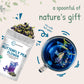 Micro Ingredients Organic Butterfly Pea Flower Tea  8 oz (680+ Cups) | Loose Leaf Herbal Tea | Natural Blue & Purple Color | Rich in Antioxidants | Caffeine-Free  Non-GMO  No Sugar