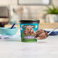 Ben & Jerrys Phish Food Ice Cream Pint Non-GMO 16 oz