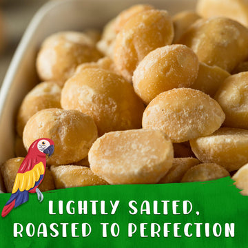 Curious Bird Macadamia Nuts - Dry Roasted With Sea Salt | Bite Sized Healthy Snack | 8Oz Resealable Bag (Pack Of 1)