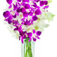 KaBloom Flowers - Mothers Day Collection - Exotic Opal Orchid Bouquet of Purple and White Orchids from Thailand with Vase - Gift for Birthday  Thank You  Valentine  Mothers Day Fresh Flowers
