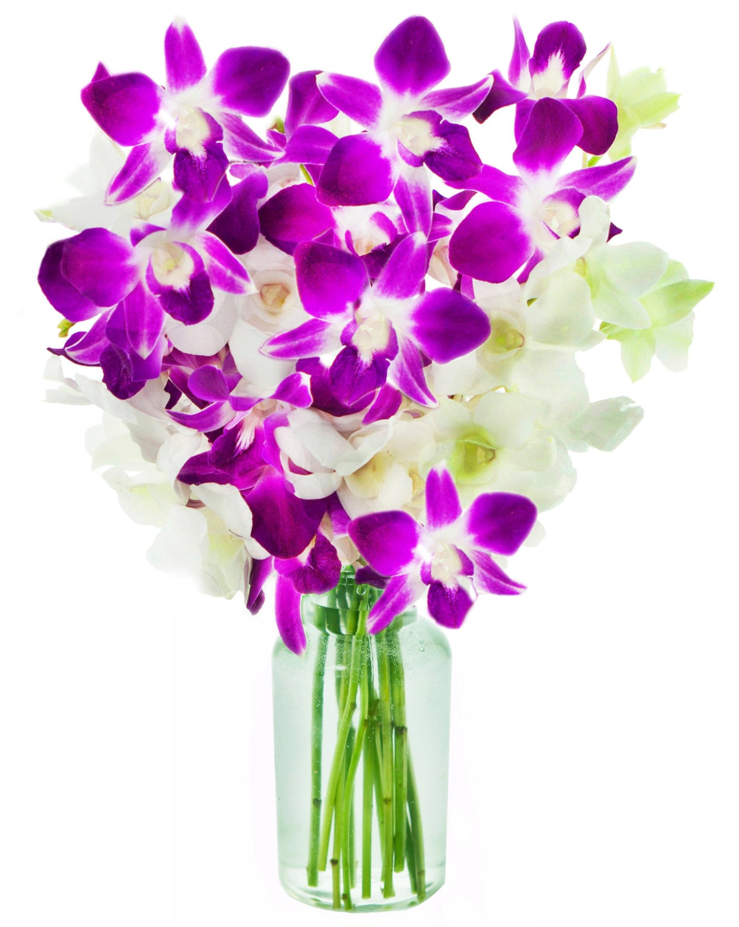 KaBloom Flowers - Mothers Day Collection - Exotic Opal Orchid Bouquet of Purple and White Orchids from Thailand with Vase - Gift for Birthday  Thank You  Valentine  Mothers Day Fresh Flowers