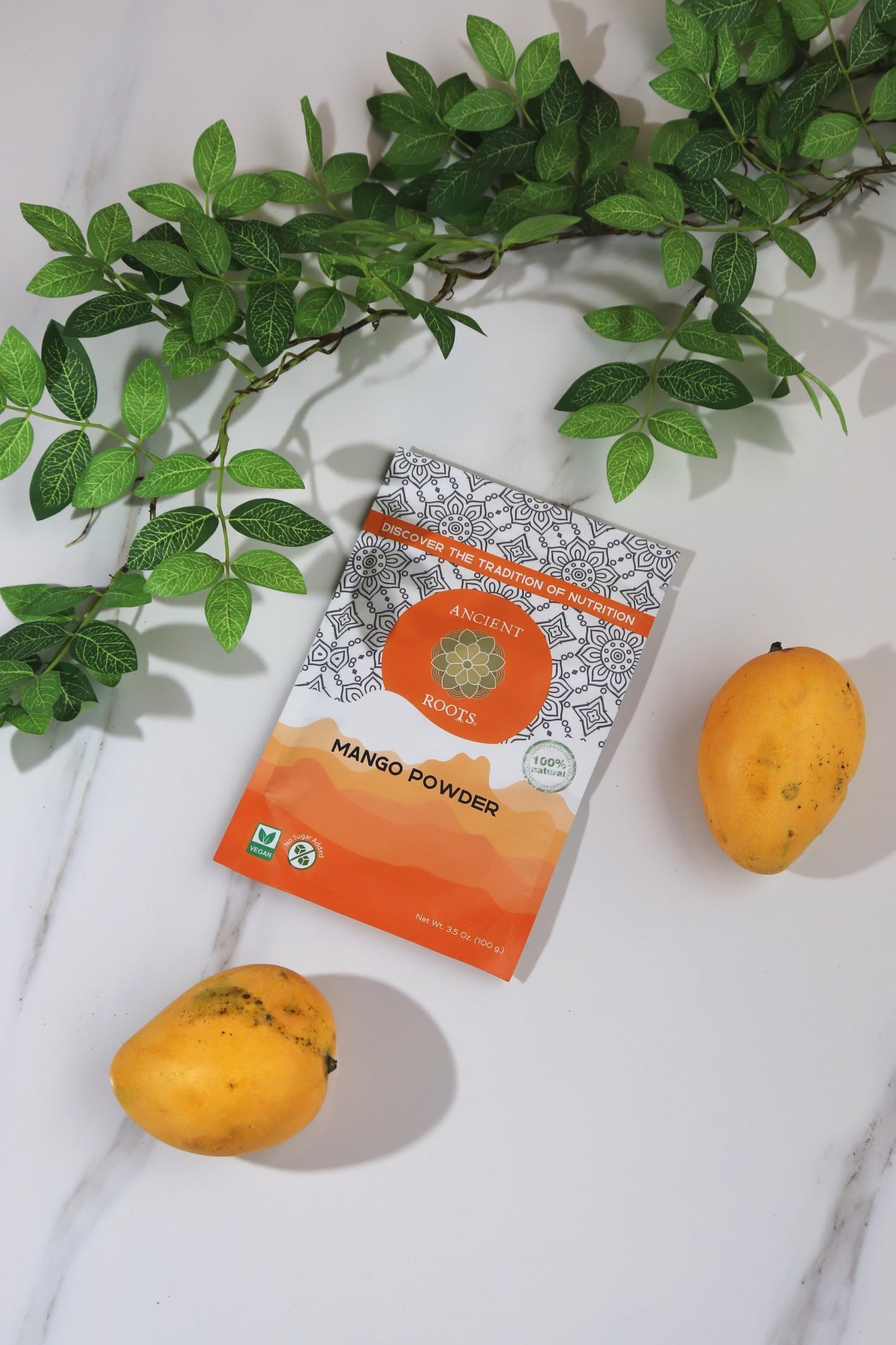 Ancient Roots Mango Fruit Powder - All-Natural Fruit Powder, Filled With Antioxidants, No Sugar Added, Indian Mango, Tropical Sm
