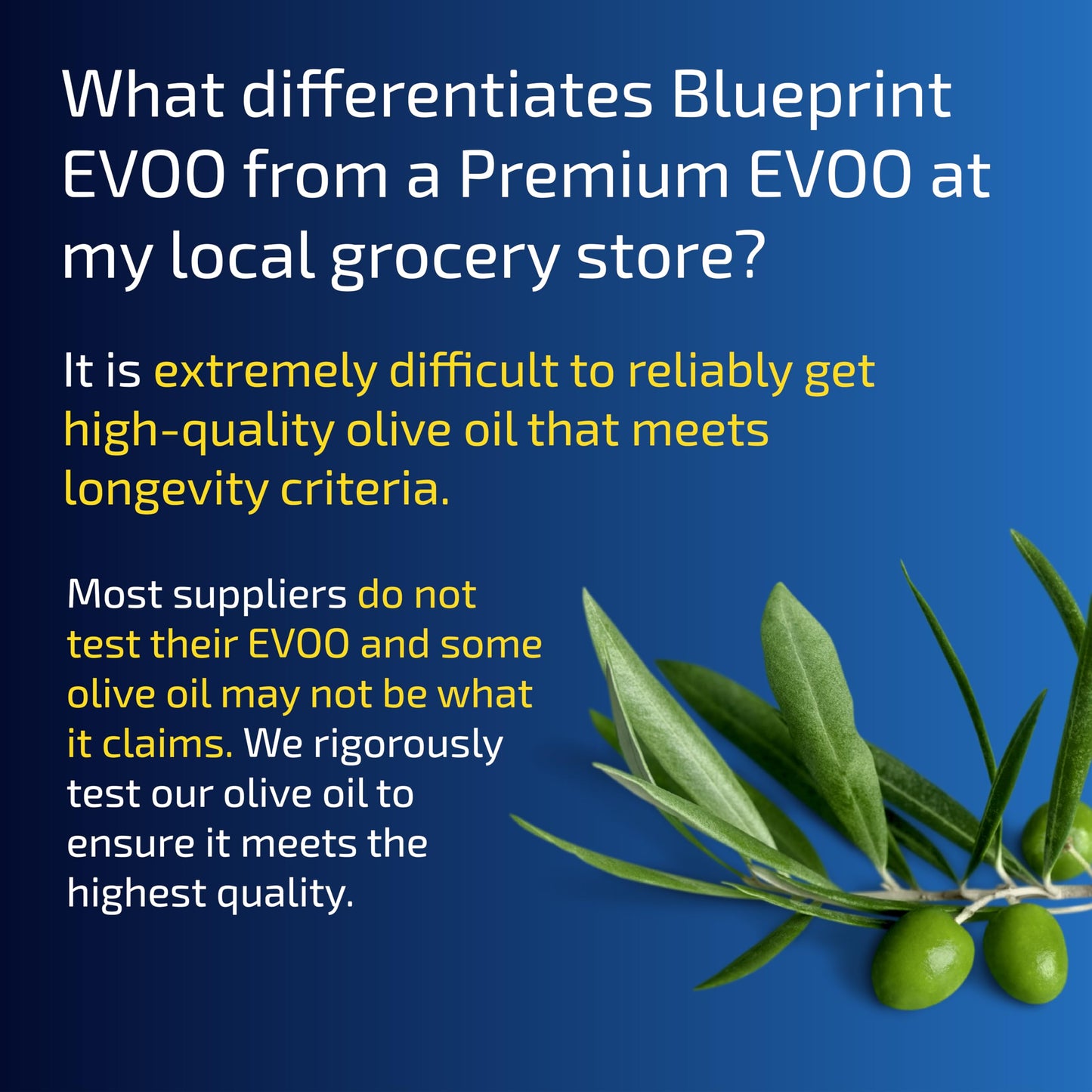 Blueprint Bryan Johnson Extra Virgin Olive Oil, Cold Pressed, Polyphenol Rich, 750ml Glass Bottle, Keto & Paleo Friendly