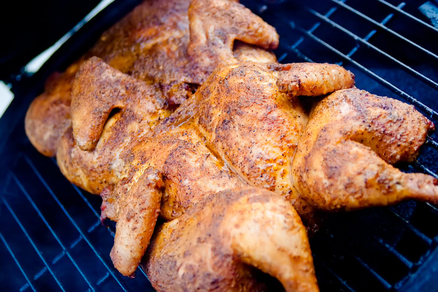 Redmond Real Salt Seasoning (Red Rock Bbq)