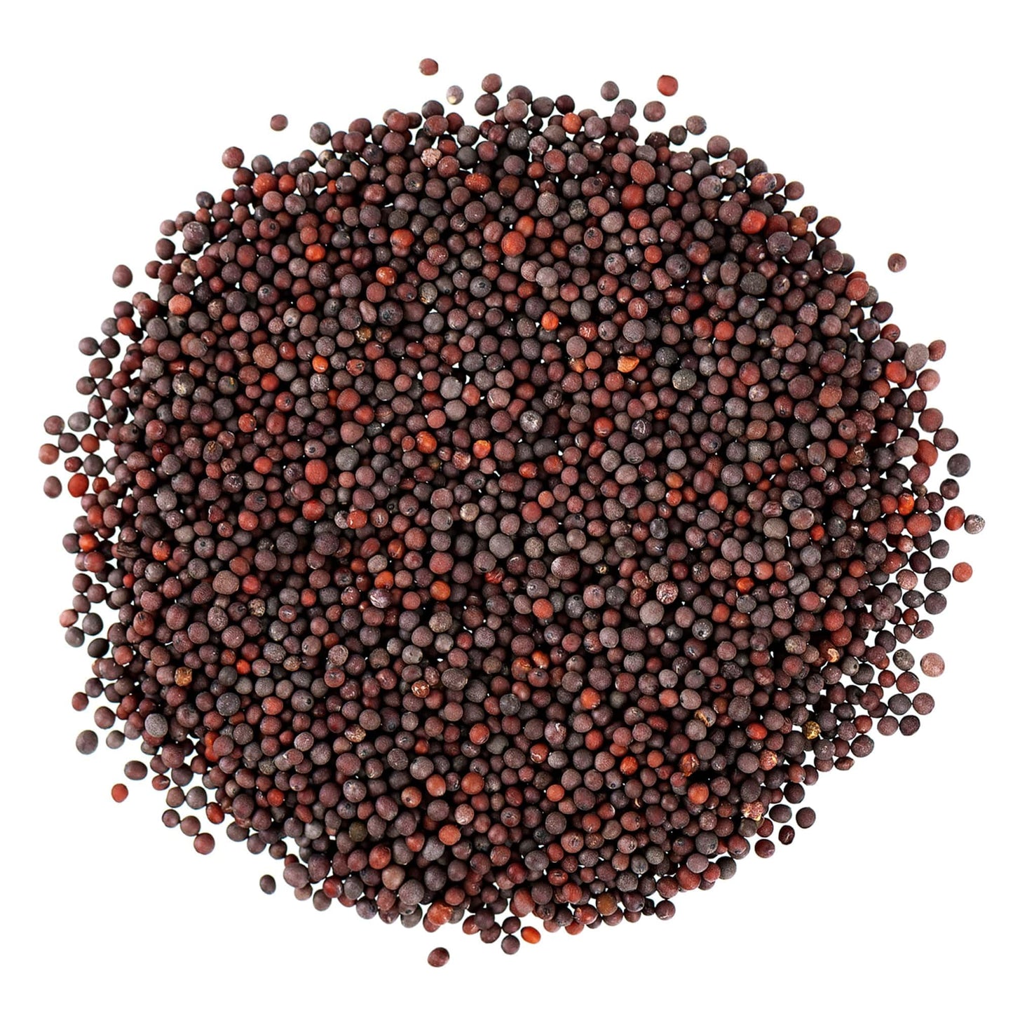 Food To Live Organic Brown Mustard Seeds, 20 Pounds - Non-Gmo. Great For Sprouting, Pickling And Cooking. Non-Irradiated. Bulk.