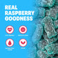 Shameless Snacks - Healthy Low Calorie Snacks, Low Carb Keto Gummies (Gluten Free Candy) - 6 Pack Sour Blue Raspberry