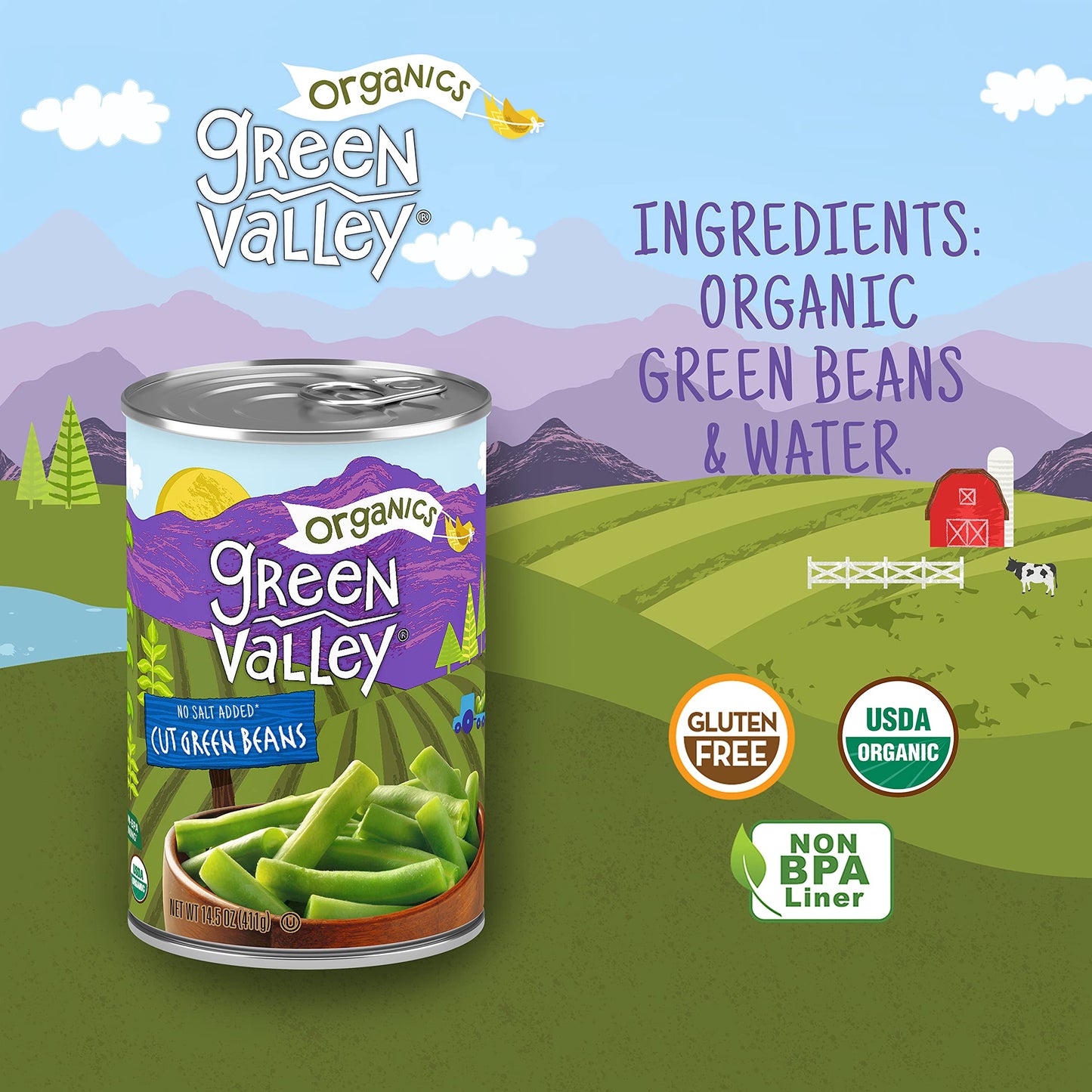 Green Valley Organics Cut Green Beans | Certified Organic | Deliciously Mild Subtly Sweet Flavor, Tender-Crisp | 14.5 Oz Can (Pack Of 4)