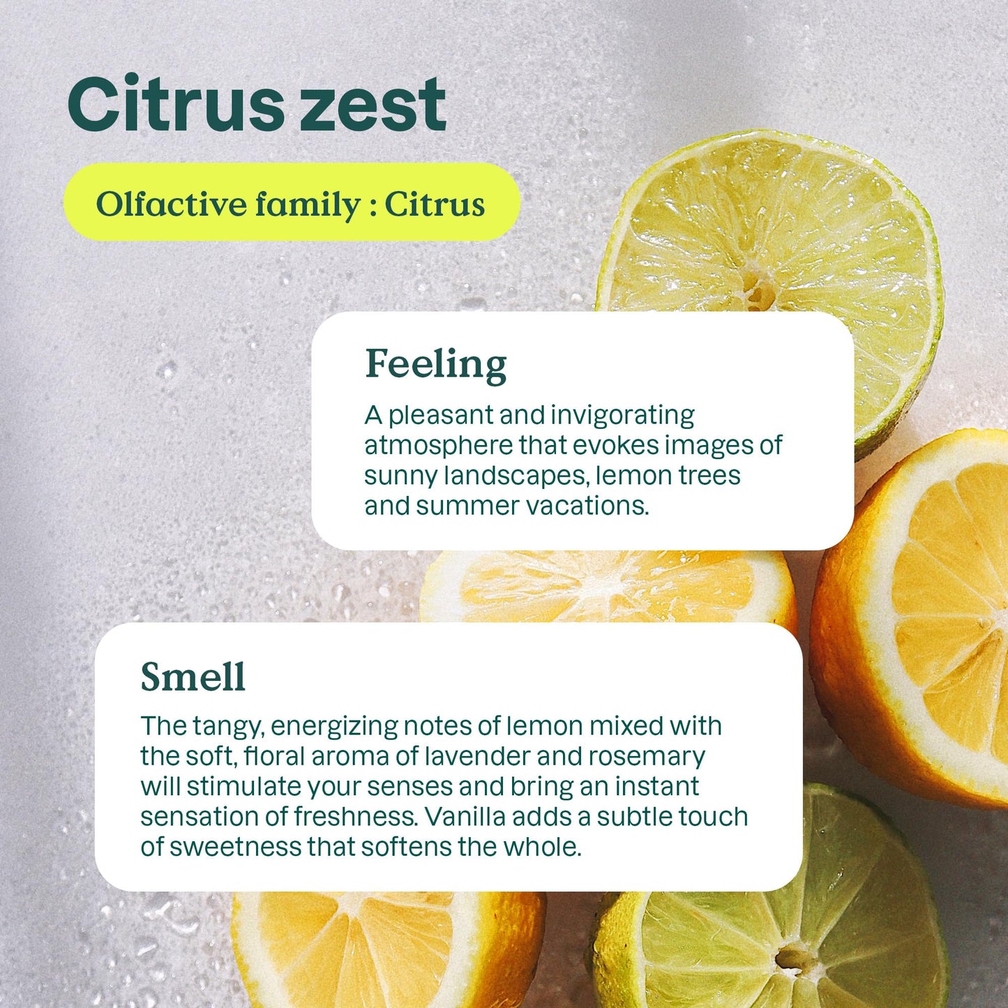 Attitude Kitchen All Purpose Cleaner, Multi-Surface Cleaner, Plant & Mineral-Based Formula, Citrus Zest, 27.1 Fl Oz (Pack Of 1)