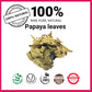 Akshit Organic Papaya Leaves Tea, 5.2 oz, Dried Fresh Green Papaya Leaf, Caffeine-Free, Sugar-Free, Pack of 2