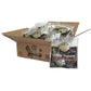 Great Northern Popcorn White Popcorn 8 oz Pack of 24 - Model 4139 GNP