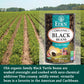 Eden Organic Black Beans, 15 oz Can (12-Pack Case), No Salt Added, Non-GMO, U.S Grown, Heat and Serve, Macrobiotic, Turtle Beans
