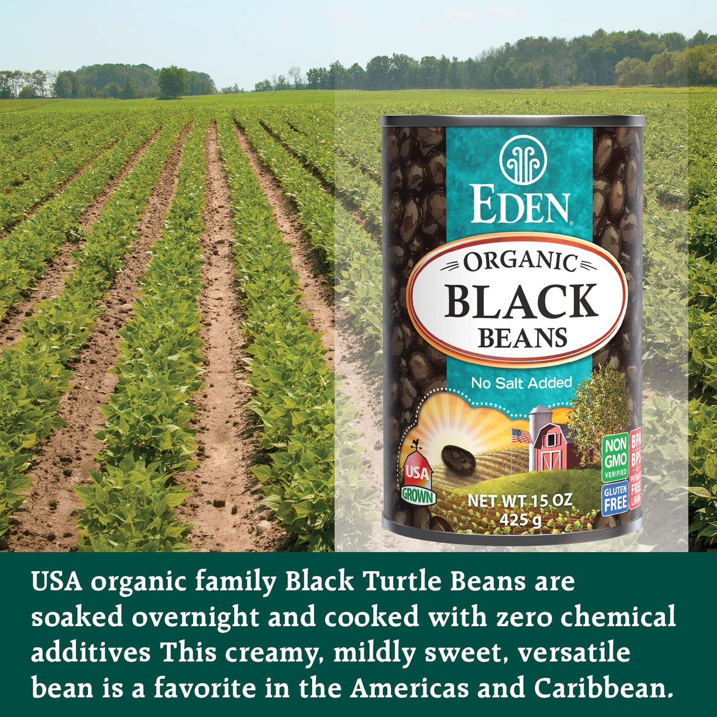 Eden Organic Black Beans, 15 oz Can (12-Pack Case), No Salt Added, Non-GMO, U.S Grown, Heat and Serve, Macrobiotic, Turtle Beans